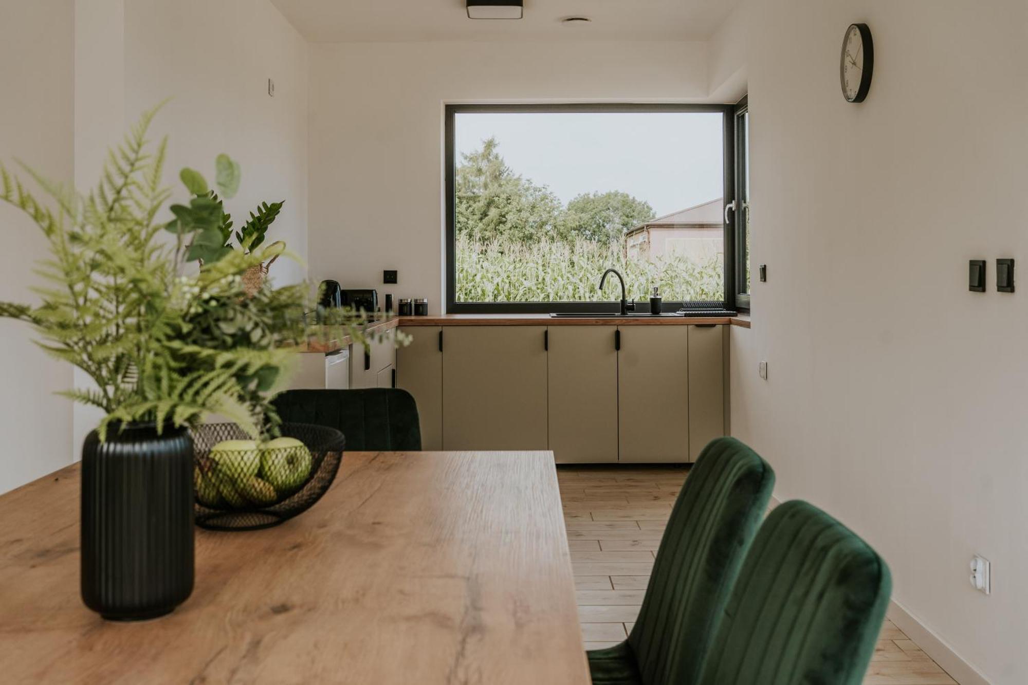U Cherubinow Apartment Naleczow